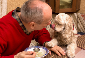 Healthy Soups for Seniors