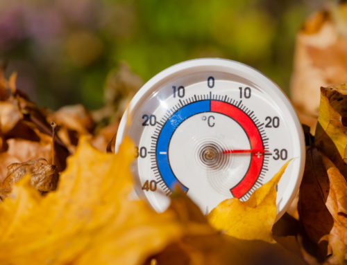 Autumn Actions: How Businesses Can Support Aging-in-Place Non-Profits as the Temperature Drops